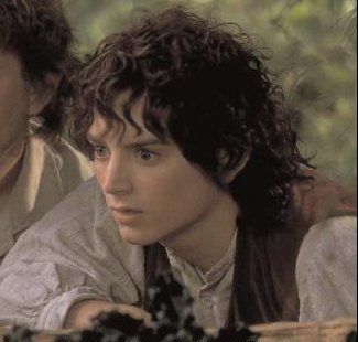 frodo3.jpg