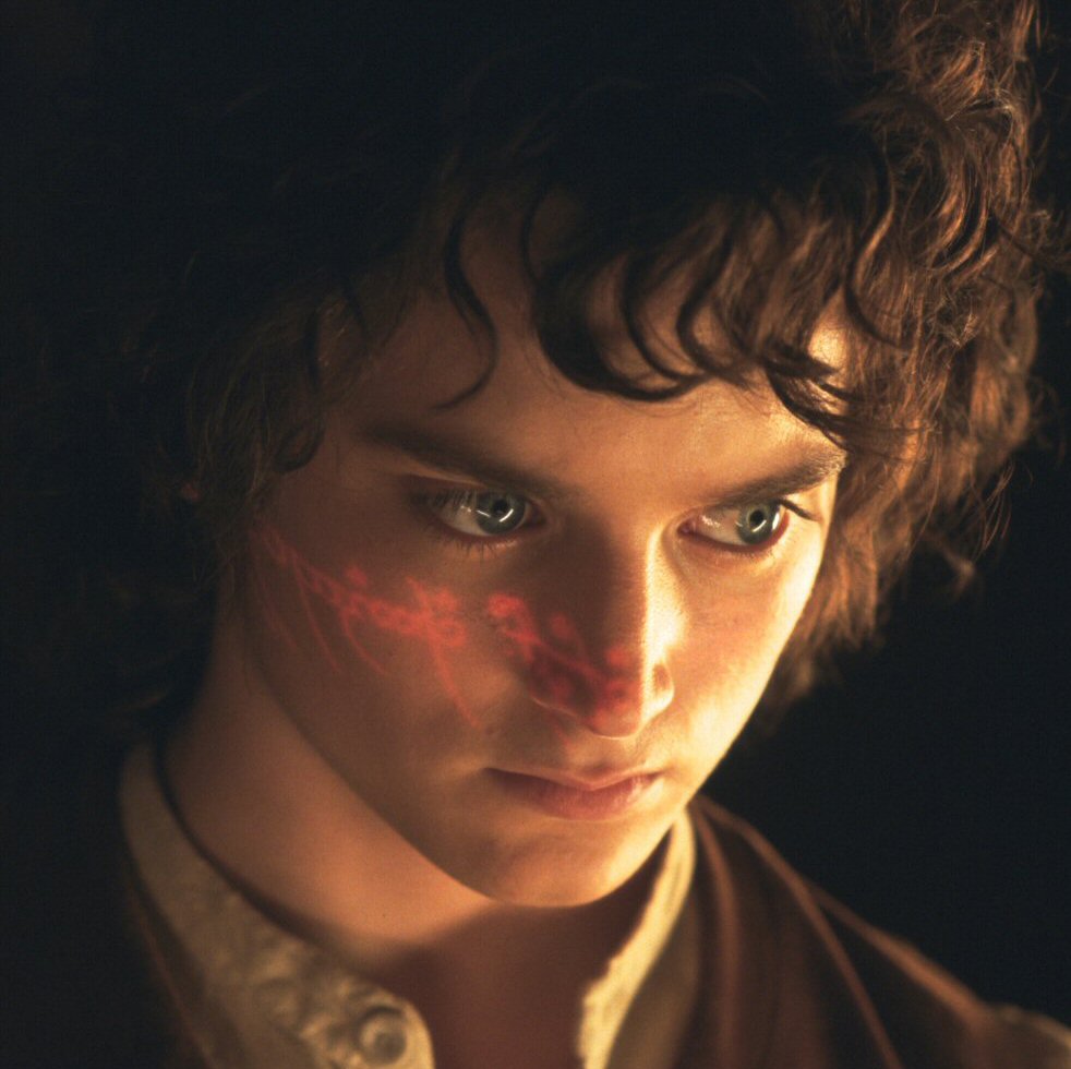 frodo8.jpg