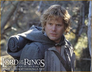 samwise5.jpg