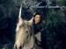 arwen8.jpg