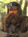 gimli8.jpg